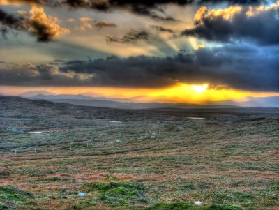 sheep-and-moor-sunset.jpg