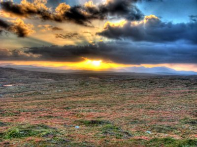 sheep-and-moor.jpg