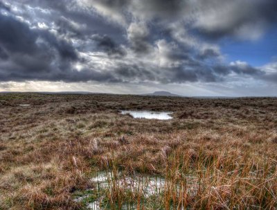 0202slemish-puddles.jpg