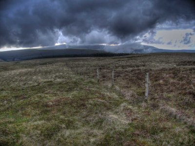 glens-fence.jpg