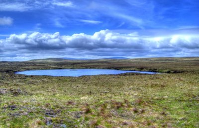 island-lough.jpg