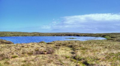 island-lough.jpg