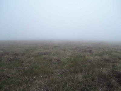 mist.jpg