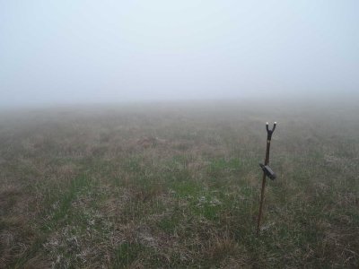misty-gps.jpg
