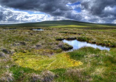 moorland-pools.jpg
