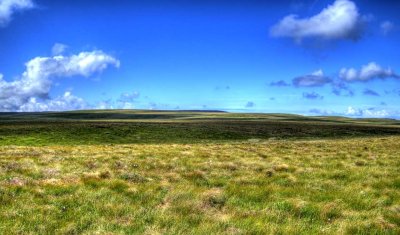 moorland.jpg