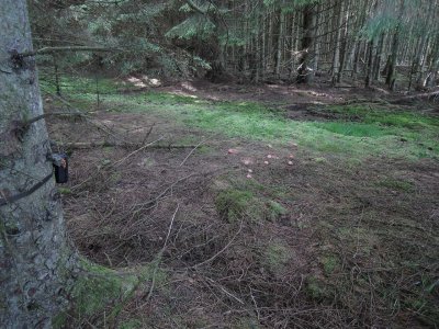 camera-setup2.jpg