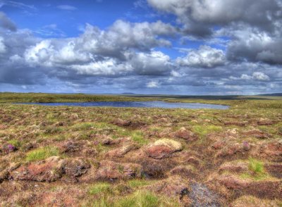 one-night-loch.jpg