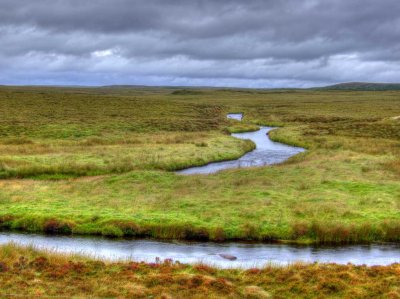up-the-river.jpg