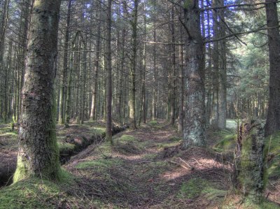 HDR4.jpg