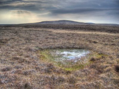 bog-pool.jpg