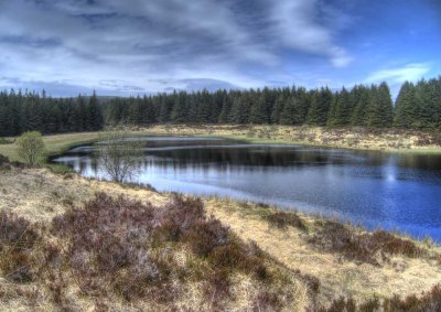 0523-lough.jpg