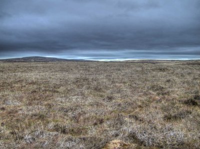 0521-moorland.jpg