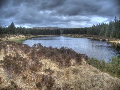 0517-lough.jpg