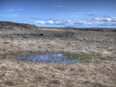 0513-bog-hole.jpg