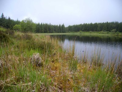 0626-loughside.jpg