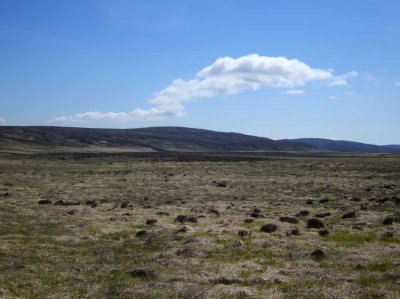 0610 moor.jpg