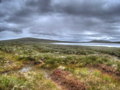 0814-geadh.jpg