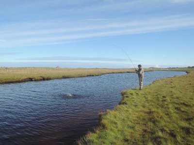 0916-playing-3rd-fish.jpg