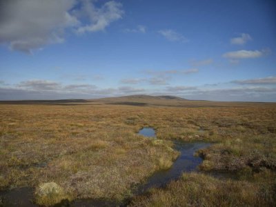 muirneag-pools.jpg