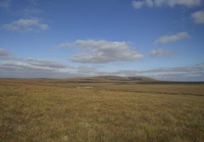 muirneag-sun.jpg