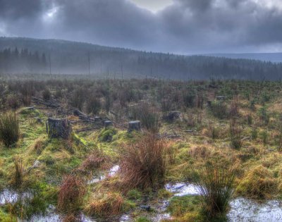 0119-BP-mist.jpg