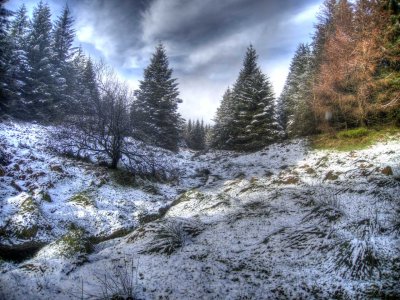 0217-lunch-spot.jpg