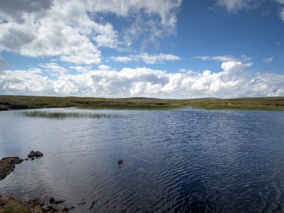 0801-island-lough-view.jpg