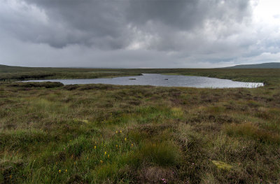 0801-lough.jpg