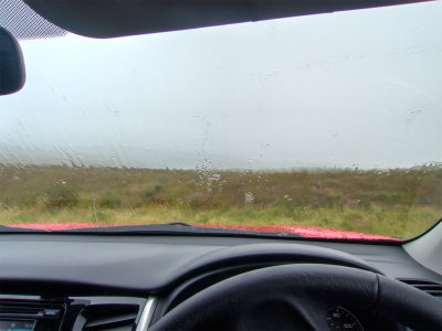 car2.jpg