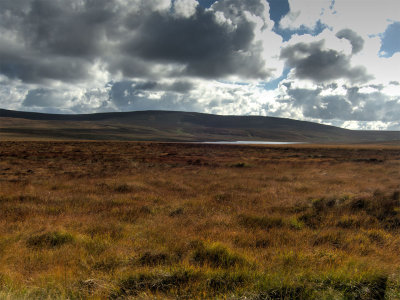1013-Dungonnell.jpg