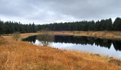1031-lough-calm.jpg