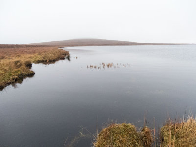 loch-side.jpg
