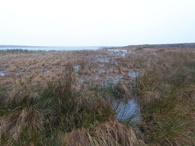 noise-burn-to-loch-view.jpg