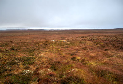 shieling-moor.jpg