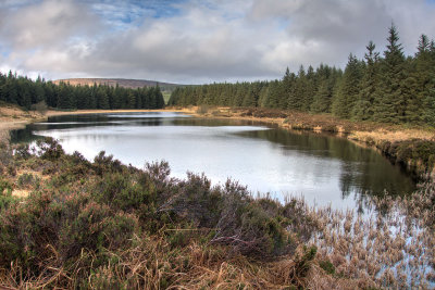 0201-lough.jpg
