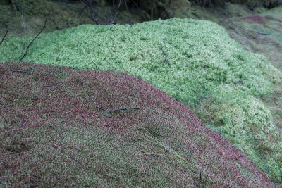 0201-two-mounds.jpg