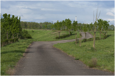 Heidekamppark