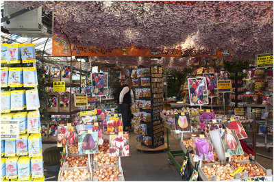 bloemenmarkt aan de Singel