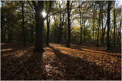 herfst - autumn ...