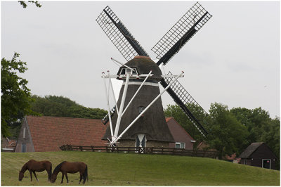 Korenmolen De Phenix