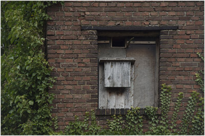 Maaswinkel - roude ringoventoren