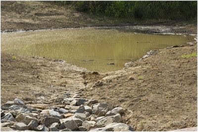 Waterbuffer