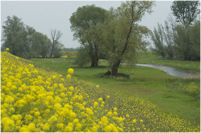 langs de Bandijk