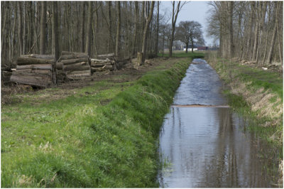 Kaalslag naast de Middelsgraaf