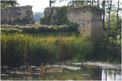 Ruïne waterburcht van kasteel