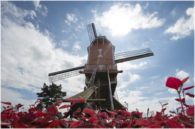 Standerdmolen Nieuw Leven