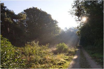 Hoge Veluwe
