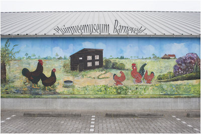 Pluimveemuseum