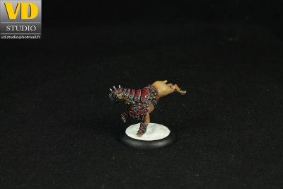 wardog dos.JPG